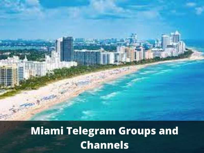 Chat telegram in Miami