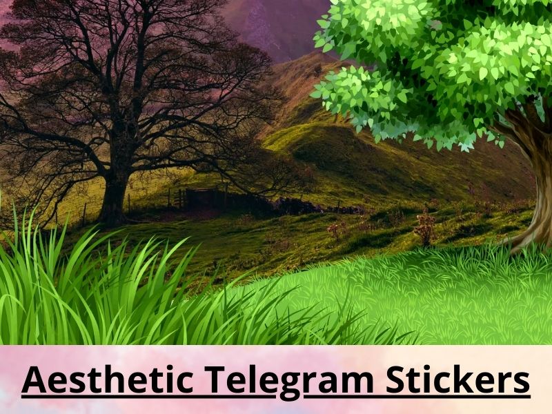 Aesthetic Telegram Stickers