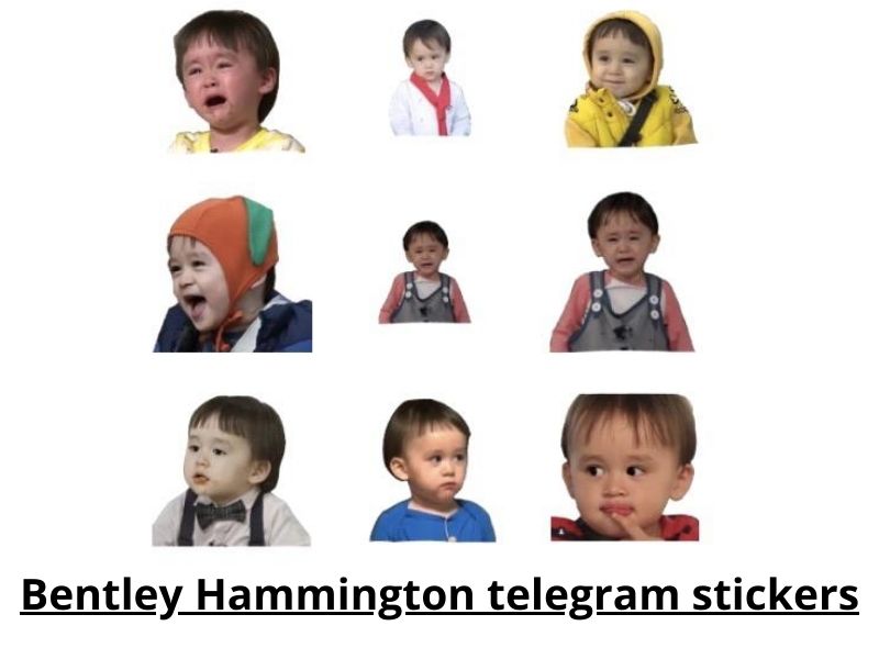 Bentley Hammington telegram stickers