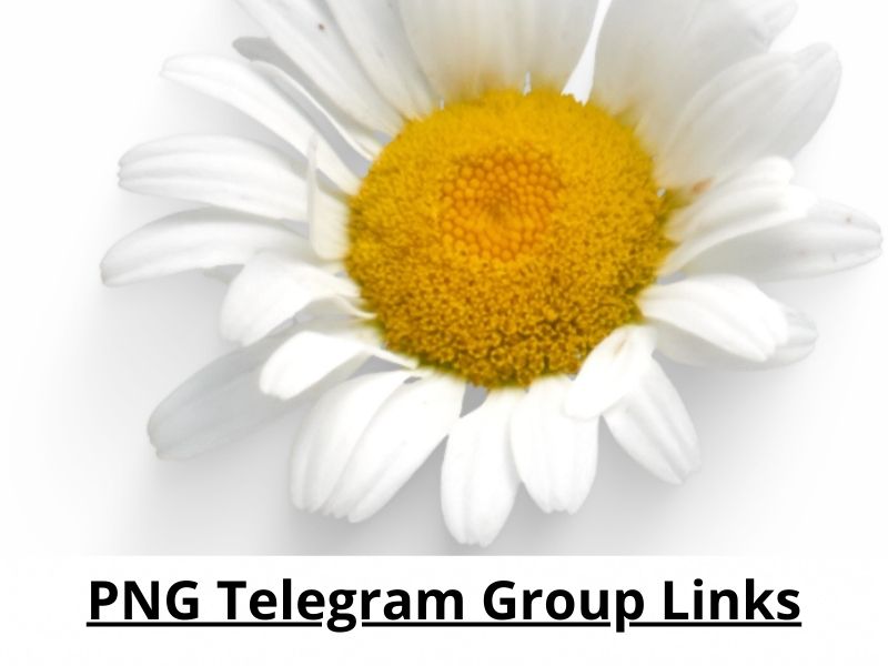 PNG Telegram Group Links